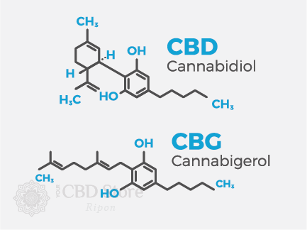 cbg vs cbd molecular