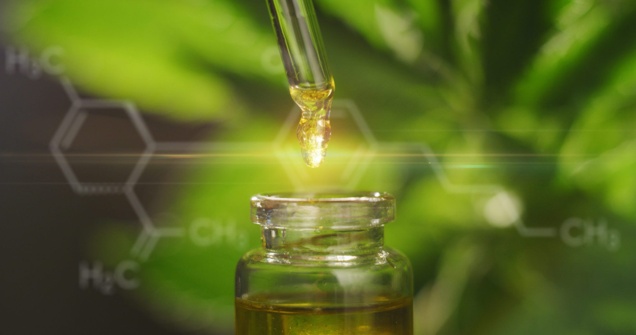 CBD, CBN, and CBG: What’s the Difference?