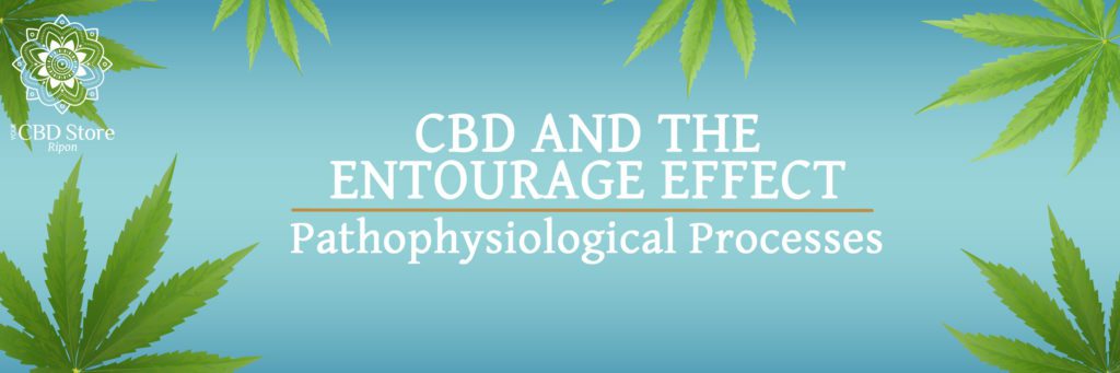 CBD and the Entourage Effect - Ripon Naturals/My CBD Store