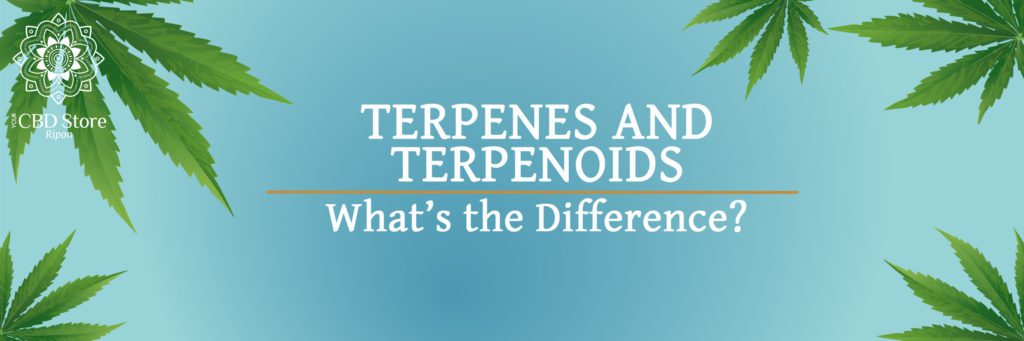 The Difference Between Terpenes and Terpenoids - Ripon Naturals/Your CBD Store