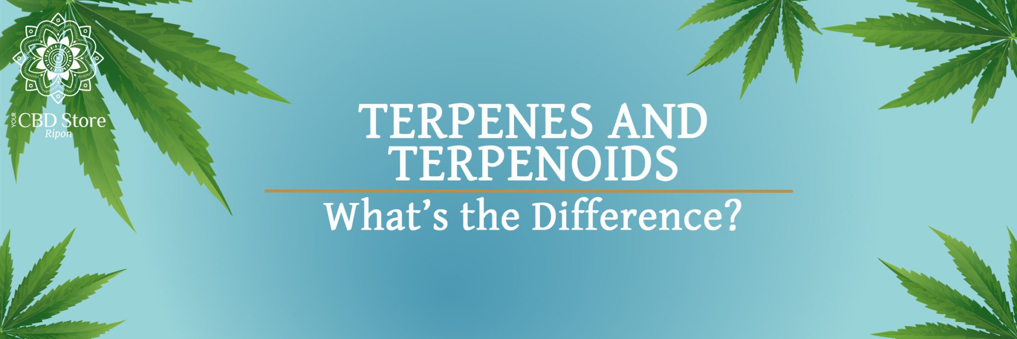 What Are Terpenes? — Your CBD Store / Ripon Naturals