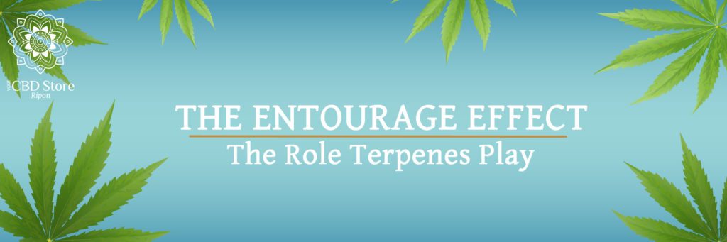 The Entourage Effect and Terpenes - Ripon Naturals/Your CBD Store