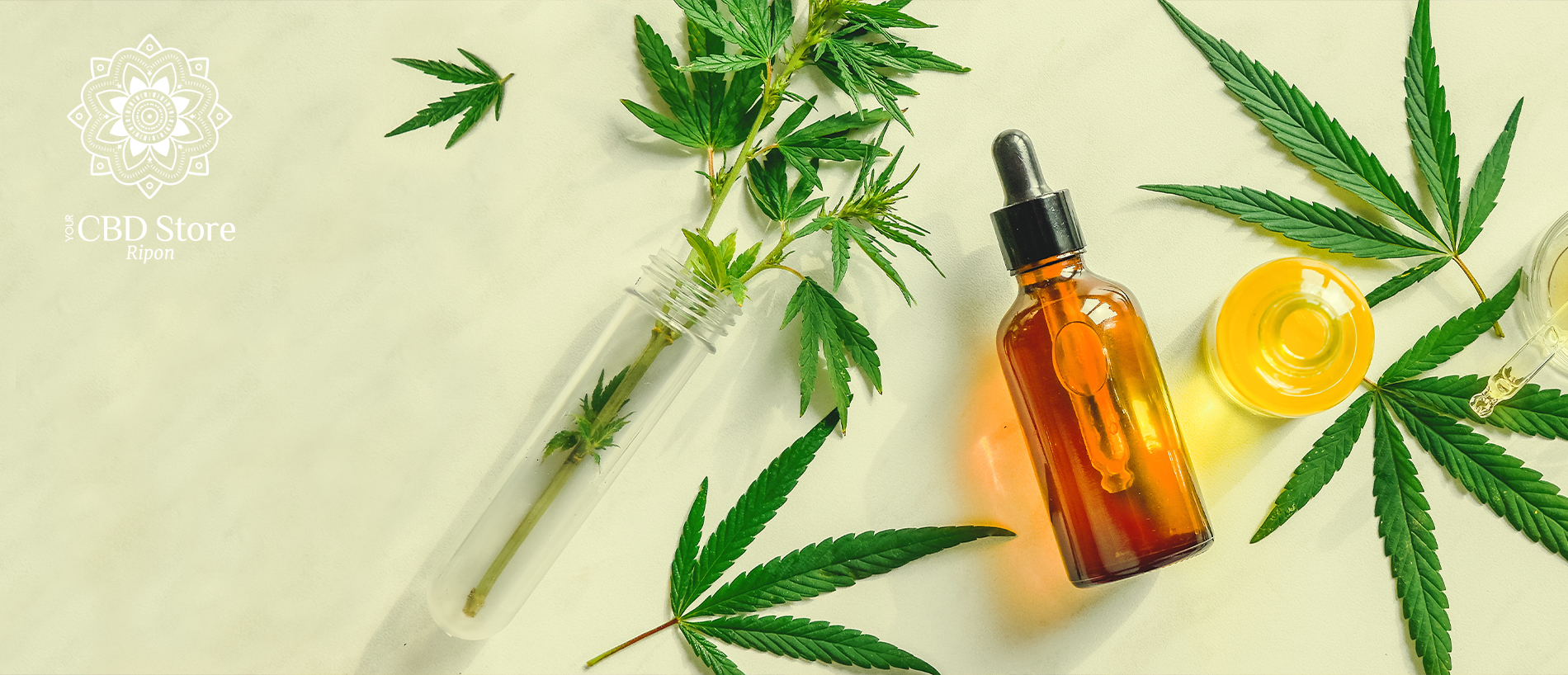 How do CBD Skincare Products Work?