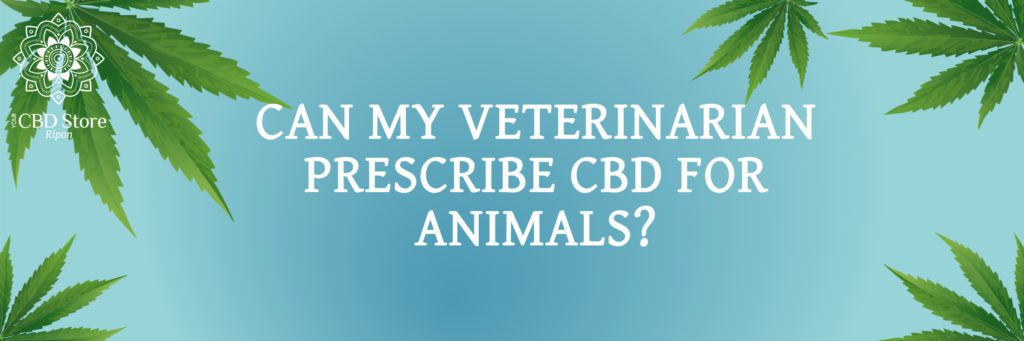 can my veterinarian. prescribe cbd for animals? - Ripon Naturals