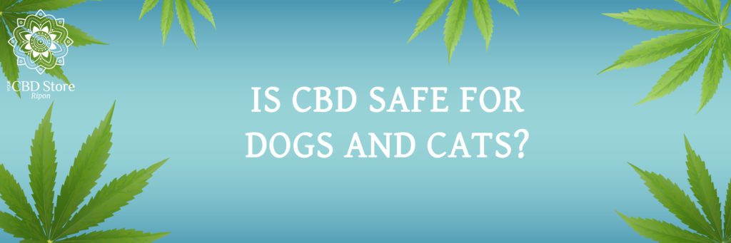 is cbd safe for dogs and cats?