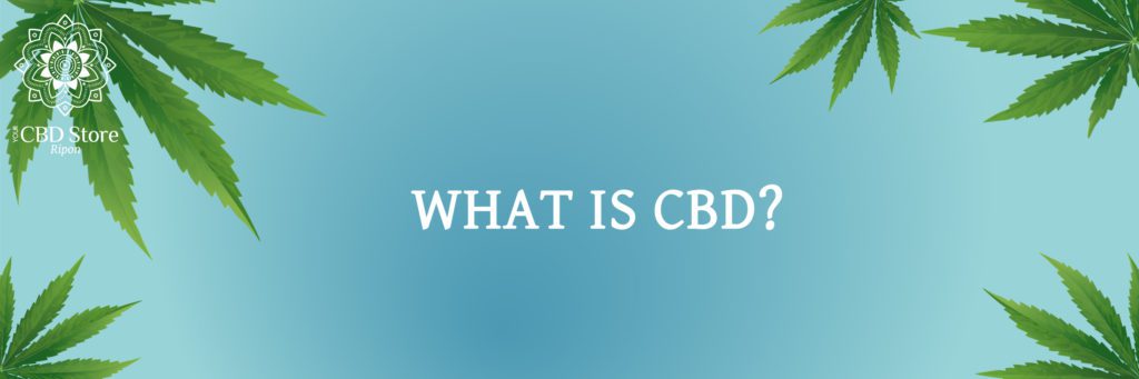 what is cbd? - Ripon Naturals