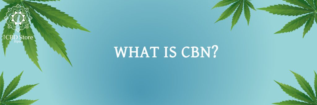 what is cbn? - Ripon Naturals/Your CBD Store
