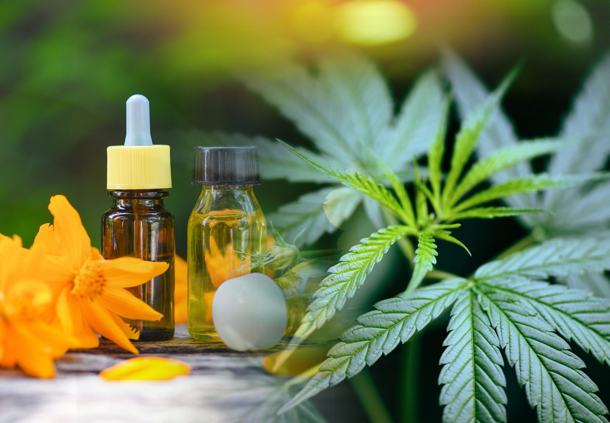 CBD Research Articles