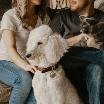 CBD Products for Pets: Should You Try Them?