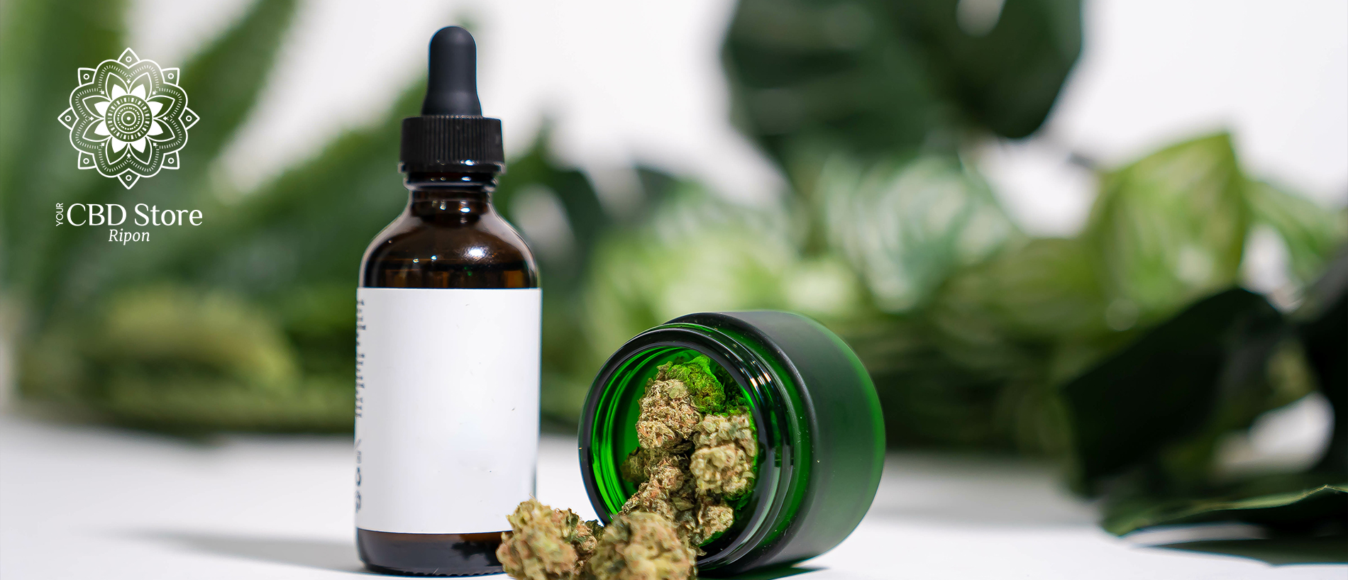 How to Shop for the Best and Safest CBD Products